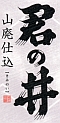 logo kiminoi_60.jpg(9278 byte)